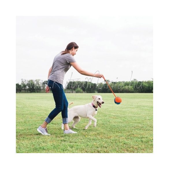 Chuckit! Rope Fetch