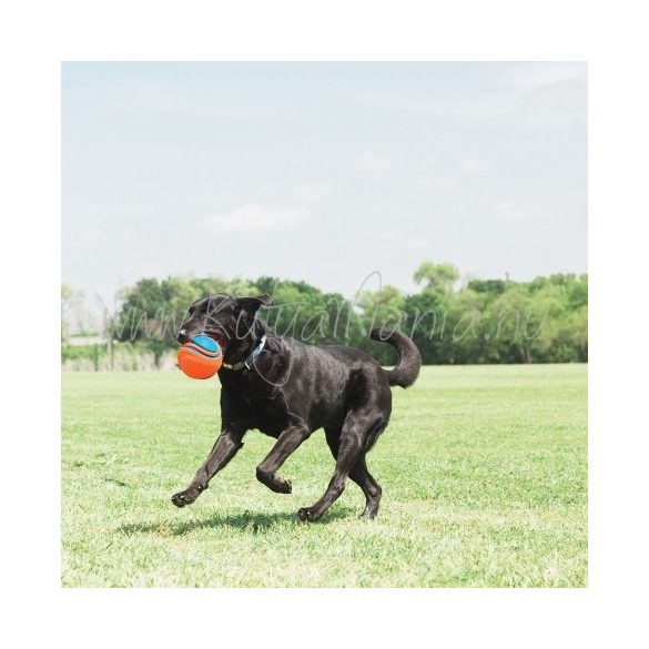 Chuckit! Rope Fetch