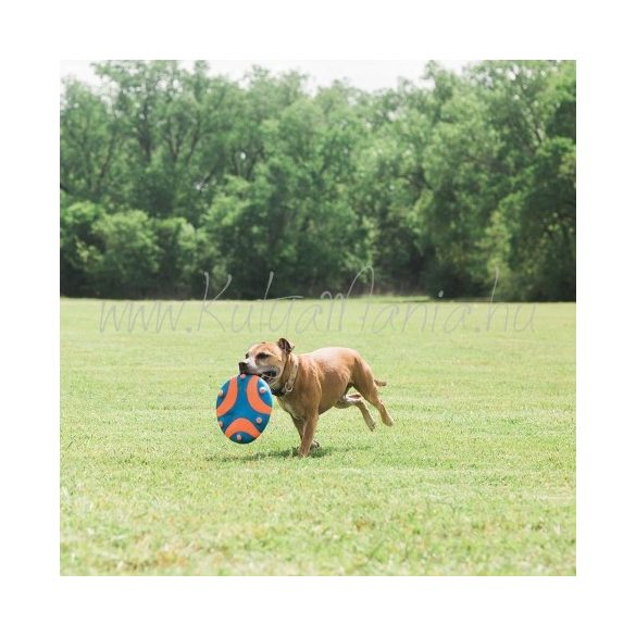 Chuckit! Whistle Flight