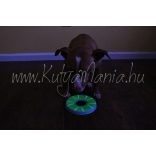 Chuckit! ZipFlight Frisbee Max Glow  Small