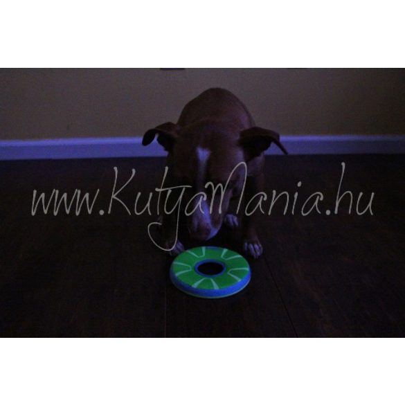 Chuckit! ZipFlight Frisbee Max Glow  Small