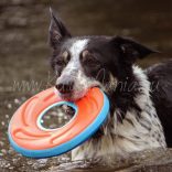 Chuckit! ZipFlight Frisbee Max Glow  Small
