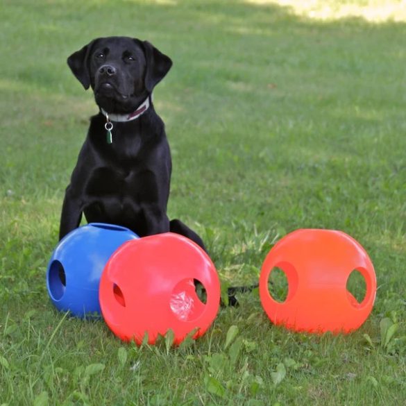 Soft-Flex Pawzzle Ball 6" L