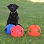 Soft-Flex Pawzzle Ball 4.5" M