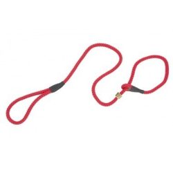 Firedog Moxon retriever póráz Profi 10 mm 130 cm red