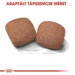 Royal Canin Giant Adult 4 kg