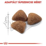 Royal Canin Cat Indoor 27 2 kg