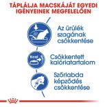 Royal Canin Cat Indoor 27 4 kg