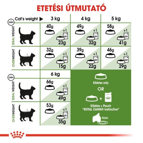 Royal Canin Outdoor 4 kg