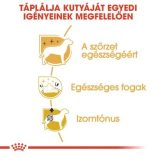 Royal Canin Poodle Adult 1,5 kg