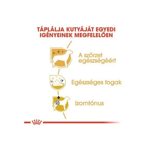 Royal Canin Poodle Adult 7,5kg