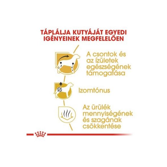 Royal Canin Dachshund Adult 0,5 kg