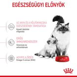 Royal Canin Mother & Babycat 400 g