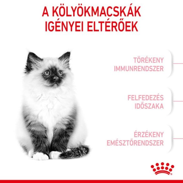Royal Canin Feline Kitten 400 g  