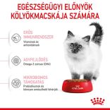 Royal Canin Feline Kitten 10 kg  