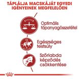 Royal Canin Regular Fit 32 2 kg