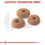 Royal Canin Regular Fit 32 2 kg