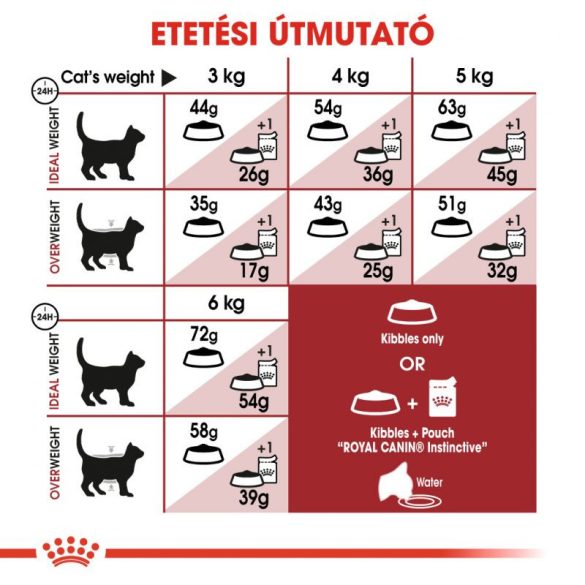Royal Canin Regular Fit 32 2 kg