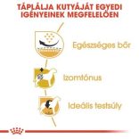 Royal Canin Pug ADULT 1,5 kg