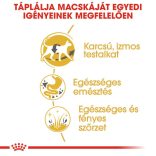 Royal Canin Siamese ADULT 2 kg