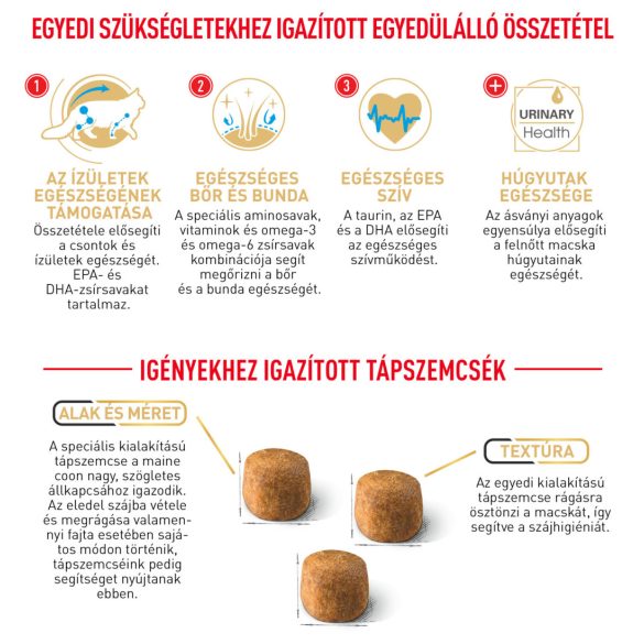 Royal Canin Maine Coon Adult 10 kg