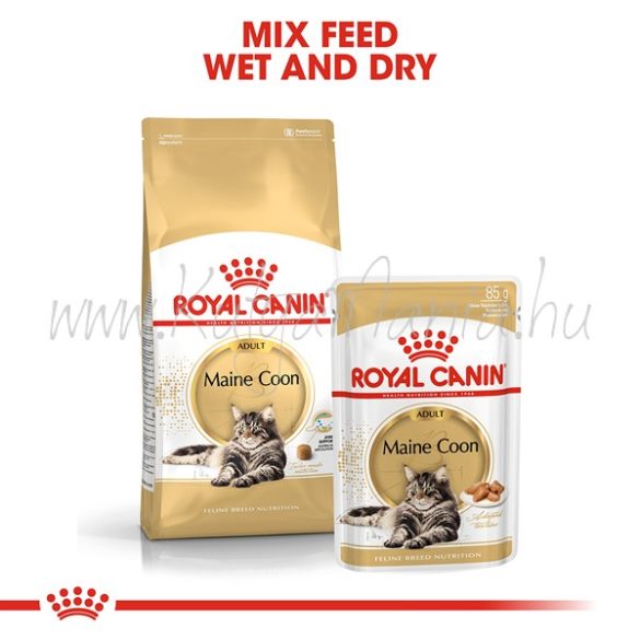 Royal Canin Maine Coon Adult 10 kg