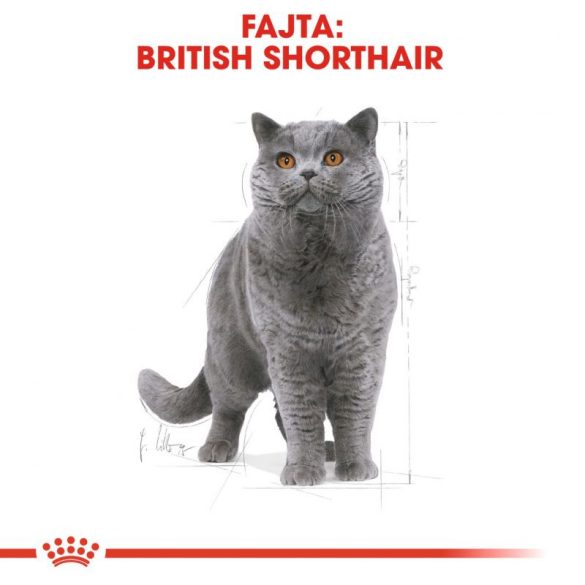 Royal Canin British Shorthair Adult 400 gr