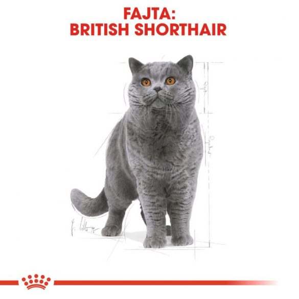 Royal Canin British Shorthair Adult 2 kg