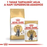 Royal Canin British Shorthair Adult 2 kg