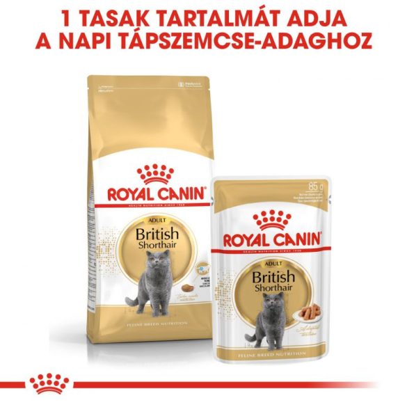 Royal Canin British Shorthair Adult 4 kg