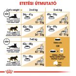 Royal Canin British Shorthair Adult 4 kg