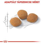 Royal Canin Protein Exigent Adult 10 kg