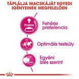 Royal Canin Protein Exigent Adult 10 kg