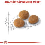 Royal Canin Aroma Exigent 33 400g