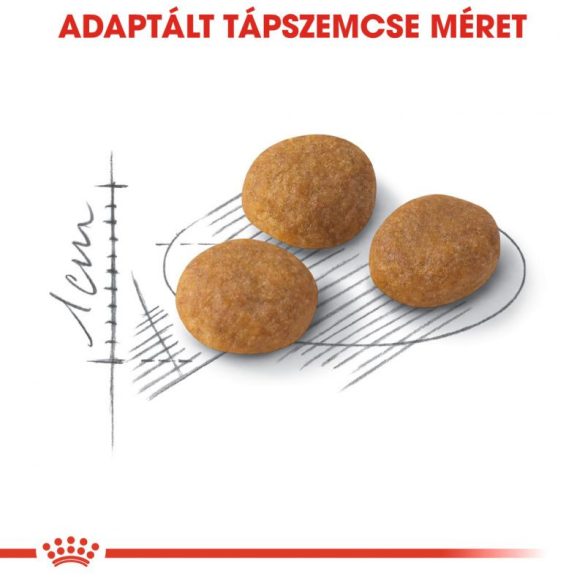 Royal Canin Aroma Exigent 33 400g