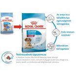 Royal Canin Medium Starter 4 kg