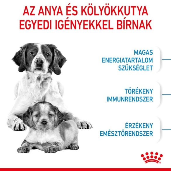Royal Canin Medium Starter 4 kg
