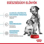 Royal Canin Medium Starter 4 kg