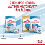 Royal Canin Medium Starter 4 kg