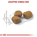 Royal Canin Cat Indoor 7+ 3,5 kg