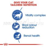 Royal Canin Cat Indoor 7+ 3,5 kg