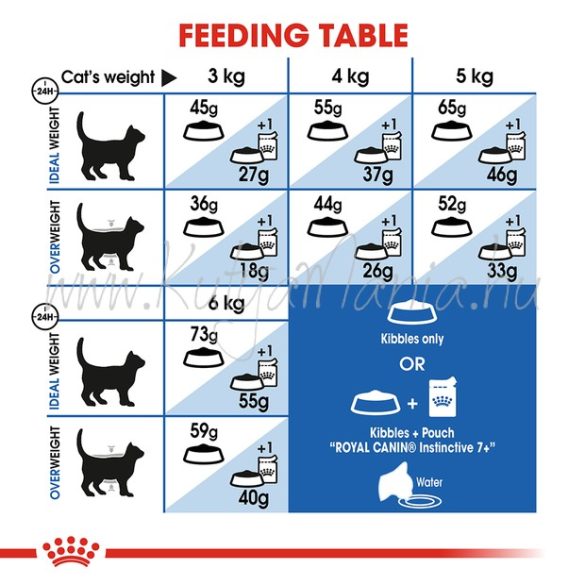 Royal Canin Cat Indoor 7+ 3,5 kg