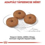 Royal Canin Mini Ageing 12+ 0,8 kg