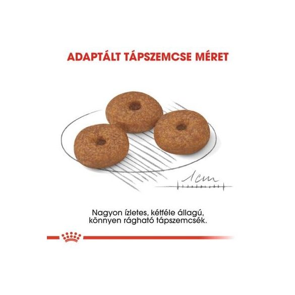 Royal Canin Mini Ageing 12+ 0,8 kg