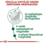 Royal Canin Mini Ageing 12+ 1,5 kg