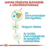 Royal Canin Chihuahua Puppy 500 g