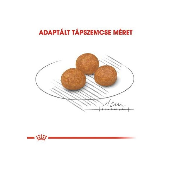 Royal Canin X-Small Adult 0,5 kg