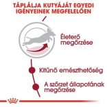 Royal Canin Medium Adult 7+ 4 kg