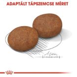 Royal Canin Medium Adult 7+ 4 kg