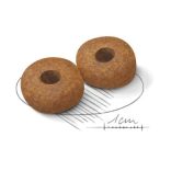 Royal Canin Medium Ageing 10+ 15 kg